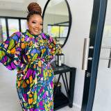 Printed long sleeved pleated dress
