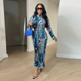 Printed long sleeved pleated dress