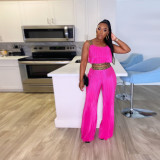 Slim fitting pleated patchwork webbing solid color high waisted wide leg two-piece set