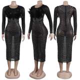 Sexy Feather Hot Diamond Perspective Long Sleeve Panel Wrapped Hip Elastic Dress
