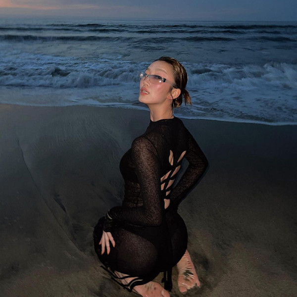 Round neck mesh long sleeved lace cut open back top