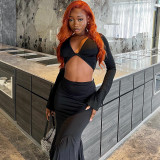 Long sleeved top, medium length irregular fishtail skirt, two piece set