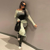 Long sleeved knitted round neck high waisted slim fitting long dress