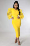 Women's Fashion Mesh Bubble Sleeves Elegant Slim Fit Sexy Dress