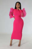 Women's Fashion Mesh Bubble Sleeves Elegant Slim Fit Sexy Dress