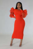 Women's Fashion Mesh Bubble Sleeves Elegant Slim Fit Sexy Dress