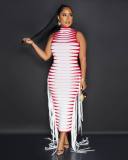 Half High Collar Rib Printed Ribbon Sleeveless Dress
