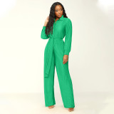 100 pleated lapel long sleeved wide leg jumpsuit