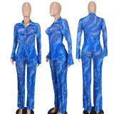 Sexy and fashionable mesh printed two-piece set
