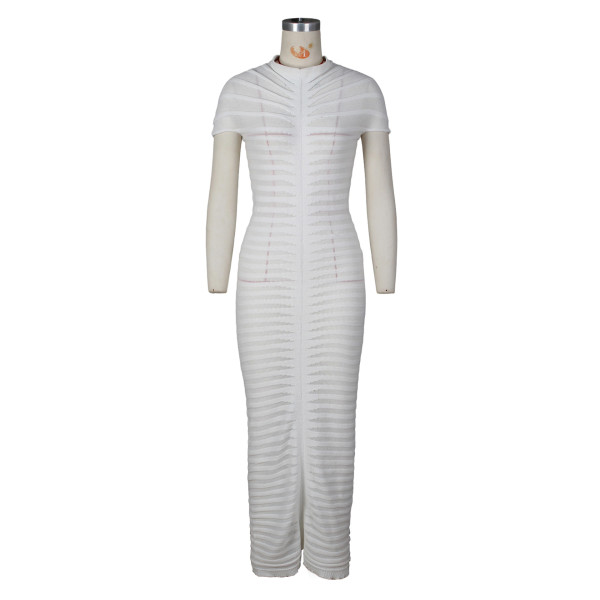 Short sleeved round neck slim fitting dress