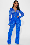 Sexy and fashionable mesh printed two-piece set