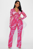 Sexy and fashionable mesh printed two-piece set