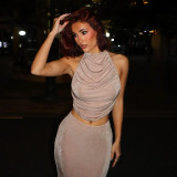 Sexy Slim Fit Pleated Open Back Top Half Skirt Set