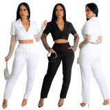 Mesh Splice Small Suit Pants Two Piece Set