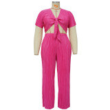 Pressed pleated wide leg pants with straps, fashionable elastic two-piece set