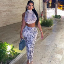 Printed Pullover Sleeveless Tank Top Wrapped Hip Half Dress Two Piece Set