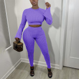 Pit Striped Flare Sleeve Pencil Pants Two Piece Set