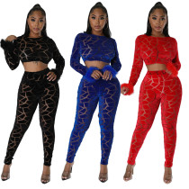 Long sleeved short top paired with slim fitting pencil pants fashion two-piece set