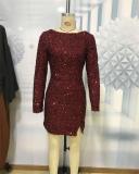 Sequin Multicolor Banquet Long Sleeve Women's Dress