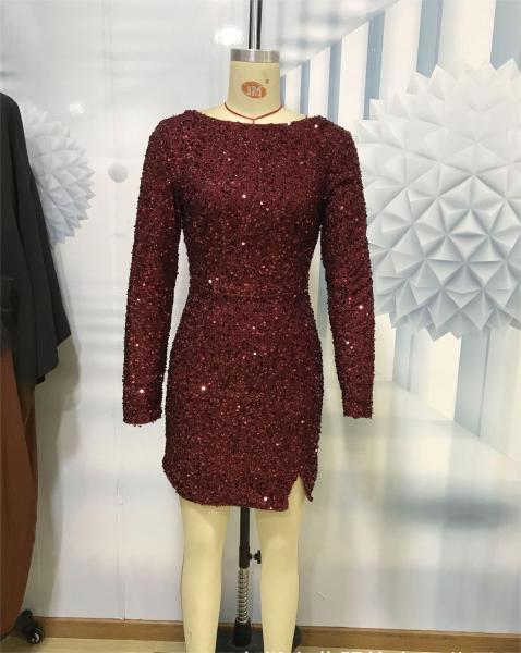 Sequin Multicolor Banquet Long Sleeve Women's Dress