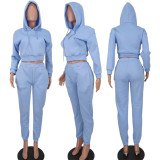 Fashion Thin Fleece Solid Sport Two Piece Set
