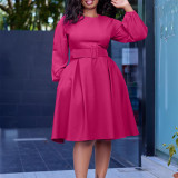 Long sleeved round neck large swing dress