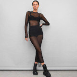 Round neck long sleeved mesh pleated adjustable length smock dress