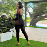 Sleeved Hollow Out Perspective Open Back Sexy Bodysuit