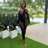 Sleeved Hollow Out Perspective Open Back Sexy Bodysuit