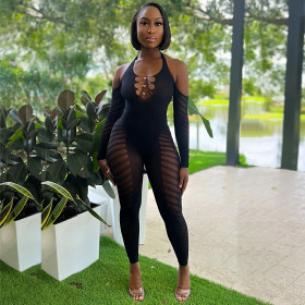 Sleeved Hollow Out Perspective Open Back Sexy Bodysuit