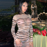 Perspective Long Sleeve Stripe Printed Slim Fit Dress