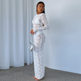 Women's Sexy Hollow Lace Pattern Perspective Slim Fit Long Dress