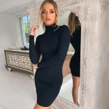 High necked, long sleeved, sexy slim fit, hip wrapped dress