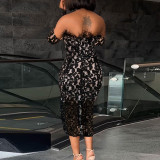 Women's Perspective Lace Package with Hip Split Feather Wrapped Chest Dress