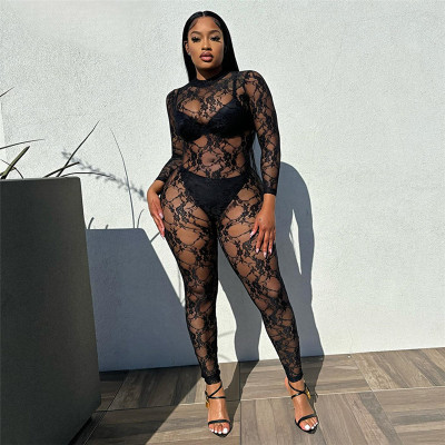 Perspective round neck long sleeved lace tight fitting jumpsuit