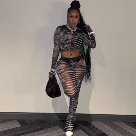 Mesh perspective printed slim fit top, high waisted casual pants set