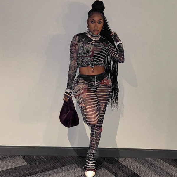 Mesh perspective printed slim fit top, high waisted casual pants set