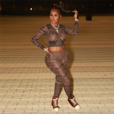 Mesh perspective printed tight fitting long sleeved top, high waisted long pants set
