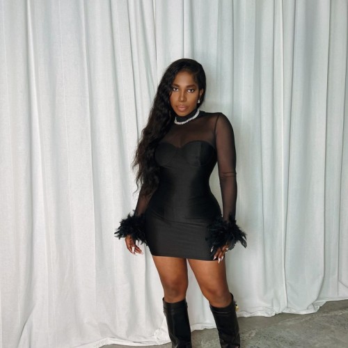 Long sleeved sexy mesh patchwork feather wrapped buttocks short slim fit dress