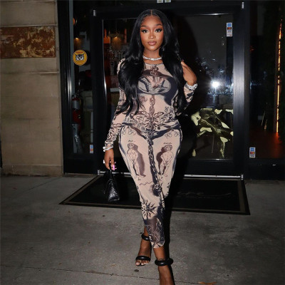 Sexy Mesh Digital Print High Waist Slim Fit Long Dress