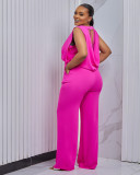 Temperament backless sleeveless top wide leg long pants jumpsuit