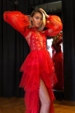 Sexy mesh long sleeved ball dress