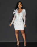 Hot Diamond Perspective Mesh Spliced V-neck Feather Elastic Slim Fit Dress