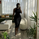 Shang Leisure Knitted Sleeveless Round Neck Dress