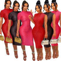 Mesh round neck slim fit dress long skirt