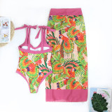 One piece swimsuit, women's V-neck, belly covering, slimming skirt, hot spring beach skirt