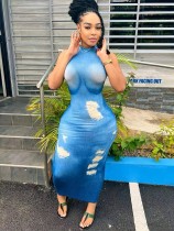 High necked sleeveless printed long dress