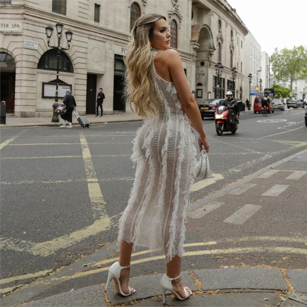 Tassel Perspective Slim Fit Perspective Mesh Dress