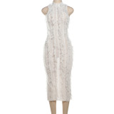 Tassel Perspective Slim Fit Perspective Mesh Dress