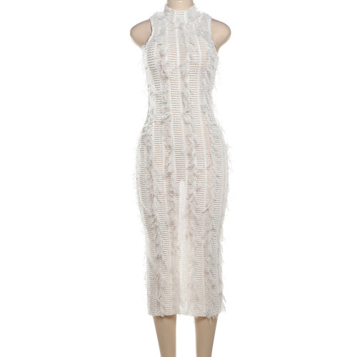 Tassel Perspective Slim Fit Perspective Mesh Dress